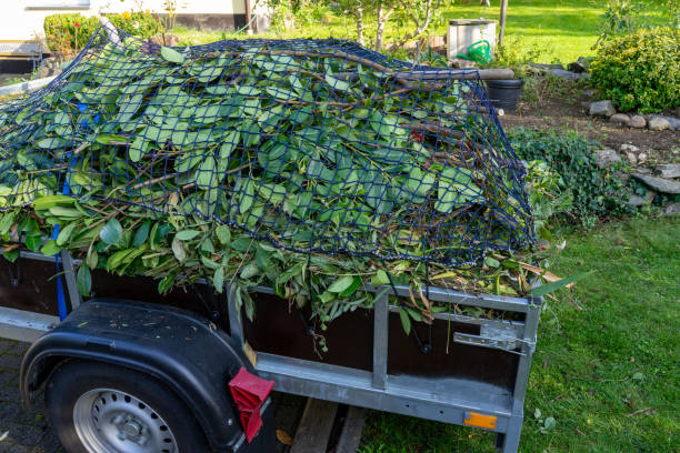 Best Construction Debris Removal  in Philippi, WV